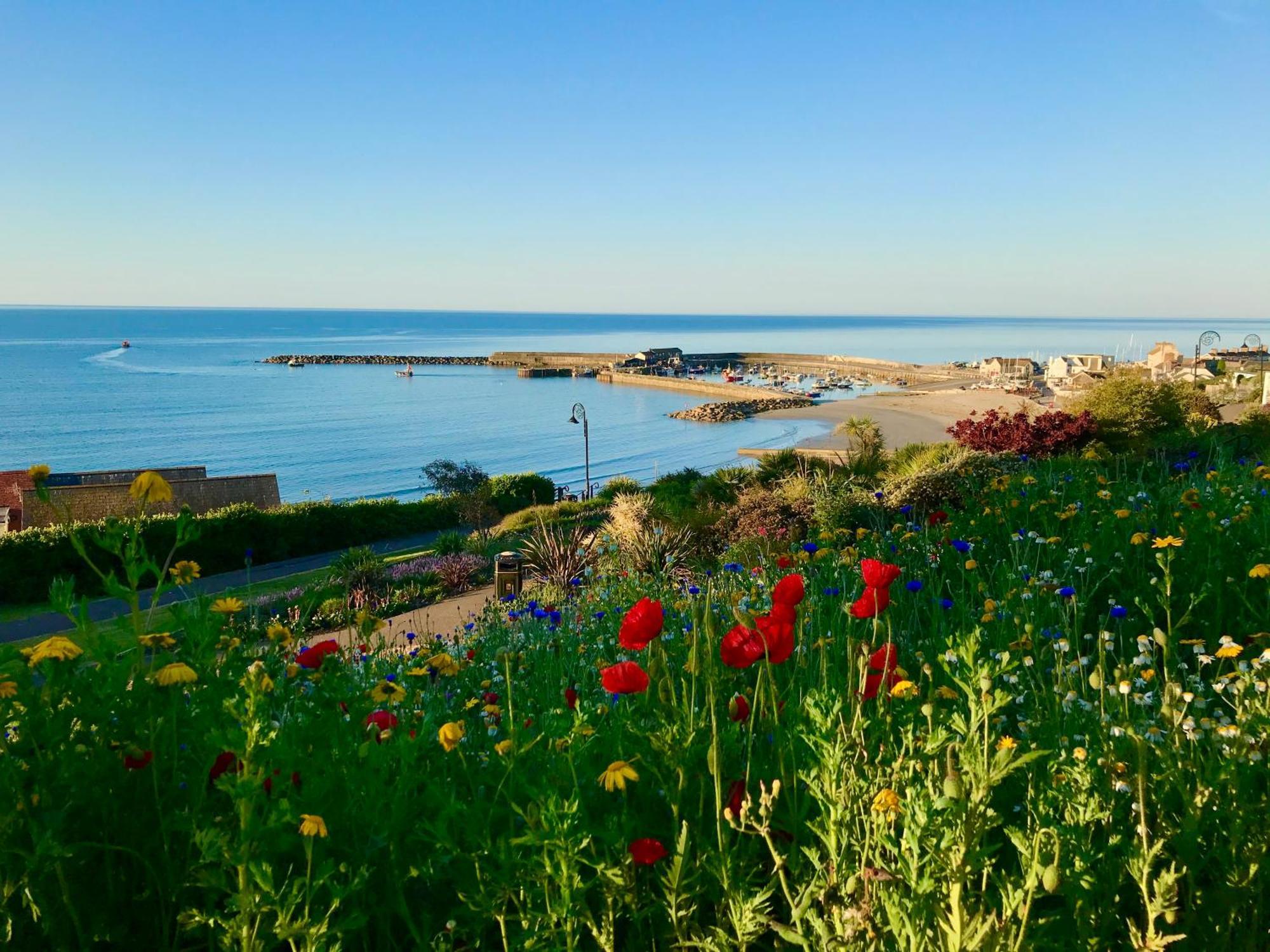Lyme Regis Renovated Period Seaside Flat Exterior foto